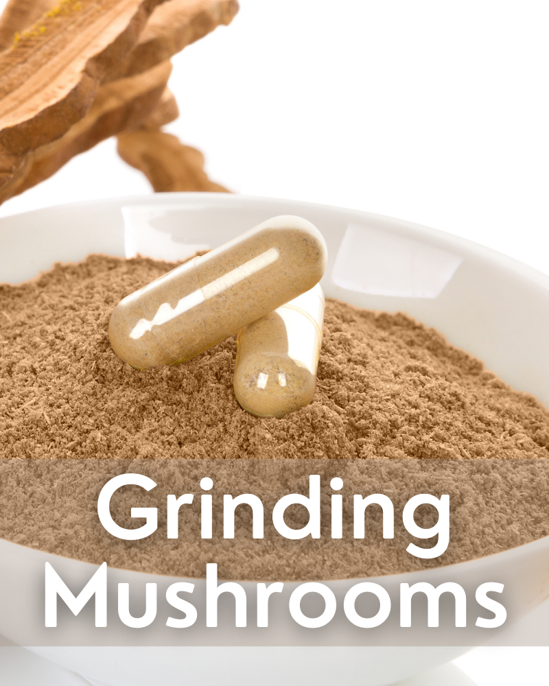 Grinding Mushrooms