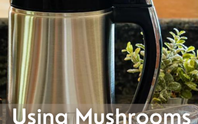 Magical Butter Machine and Mushrooms